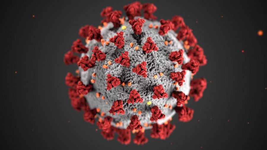 The COVID-19 virus has plagued the world, imposing harsh constraints on the lives of civilians.