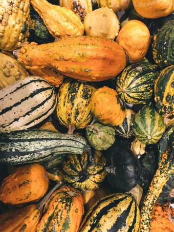 A bright array of fall squashes helps to usher in the fall spirit.