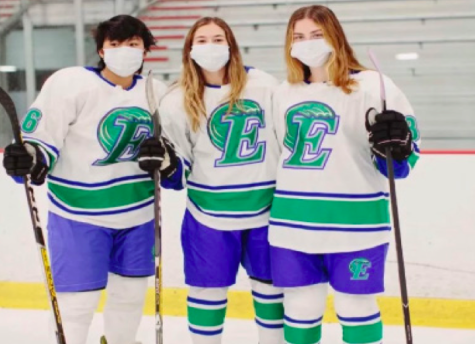 The Rise of Section 1 Girls Hockey
