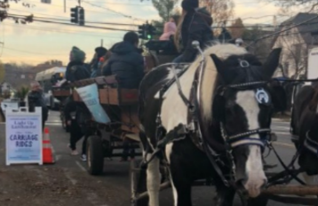 Free hourse drawn carriages as a part of the Light up Larchmont celebration.