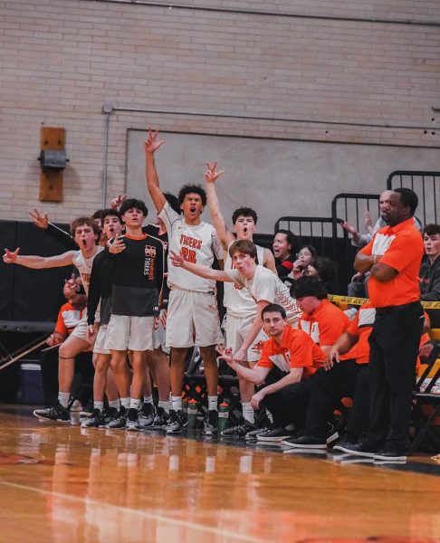 Cosmo Hardinson (24), Elijah Friedman (25), and the rest of the Mamaroneck bench cheer for a three-pointer in the Palmer Gym.