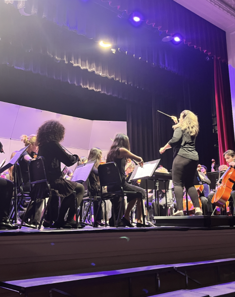 MHS Orchestra members performing in the Spring Concert.