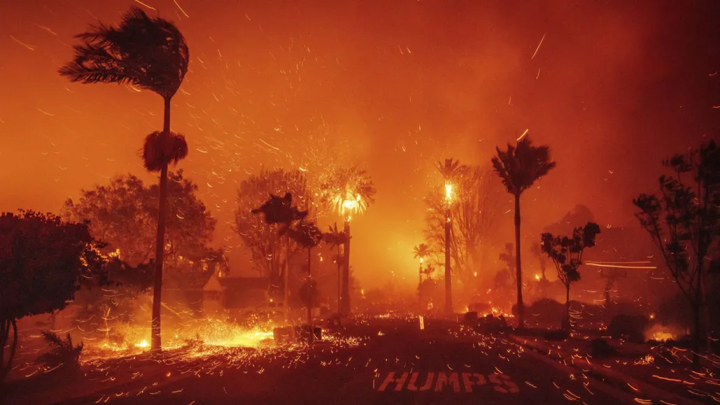 California Wildfires and What They Mean for the Future of our Environment
